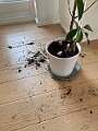 IMG_2560