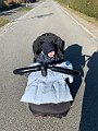 IMG_2562