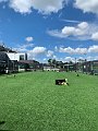 IMG_3672