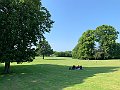 IMG_3449