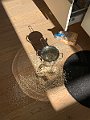 IMG_3898
