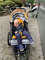 IMG_4269
