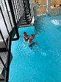 IMG_4279