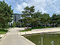 IMG_4412