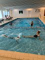IMG_4515