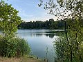 IMG_4531