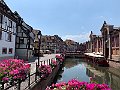 IMG_4677