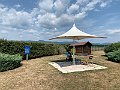 IMG_4755