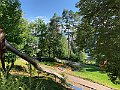 IMG_4918