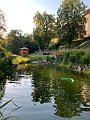 IMG_4986