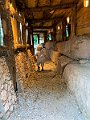 IMG_5014
