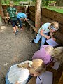 IMG_5596