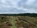 IMG_6481