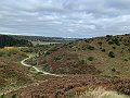IMG_6482