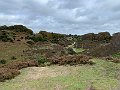 IMG_6483