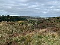 IMG_6487