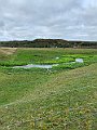 IMG_6502