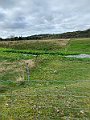 IMG_6510