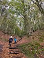 IMG_6532