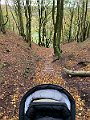 IMG_6534