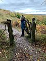 IMG_6538