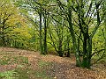 IMG_6541