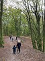 IMG_6552