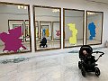 IMG_6690