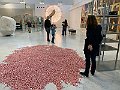 IMG_6692