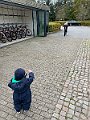 IMG_6570