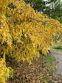 IMG_7044