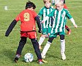 IMG_6323