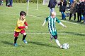 IMG_6326