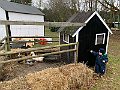 IMG_7405