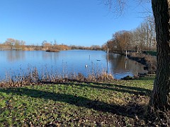 IMG_9544