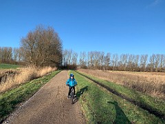 IMG_9548