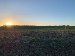 IMG_9567