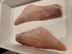IMG_0304