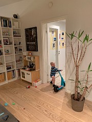IMG_9141