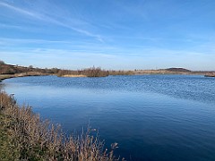 IMG_9411