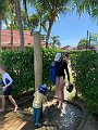 IMG_2346