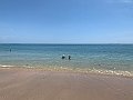 IMG_2665