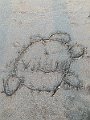 IMG_2773