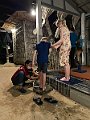 IMG_2794