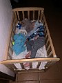 IMG_2817(1)