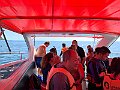 IMG_2848