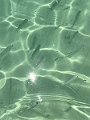 IMG_2935e