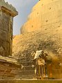 IMG_3330