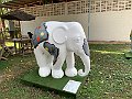IMG_3409