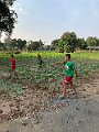 IMG_3469